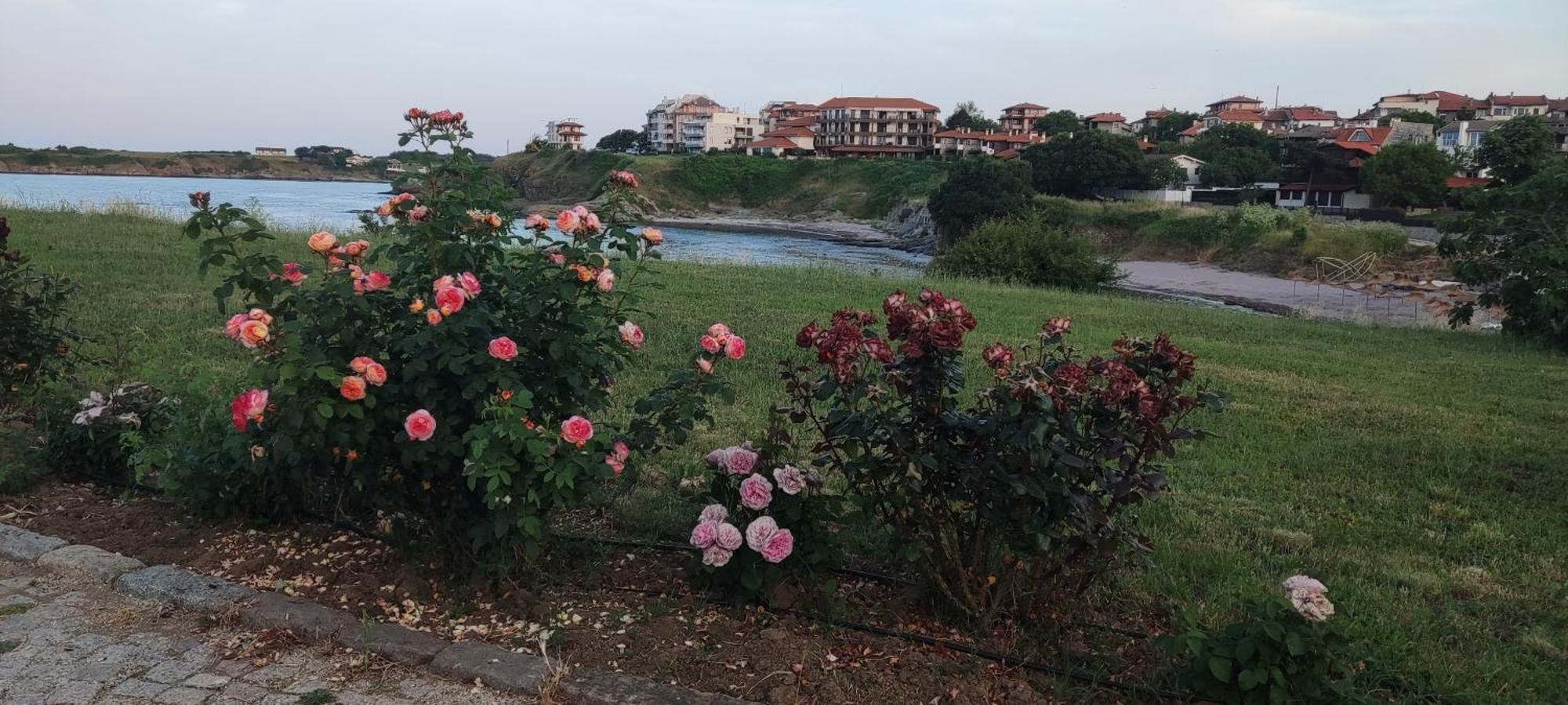 Family Hotel Mimosa Tsarevo Εξωτερικό φωτογραφία