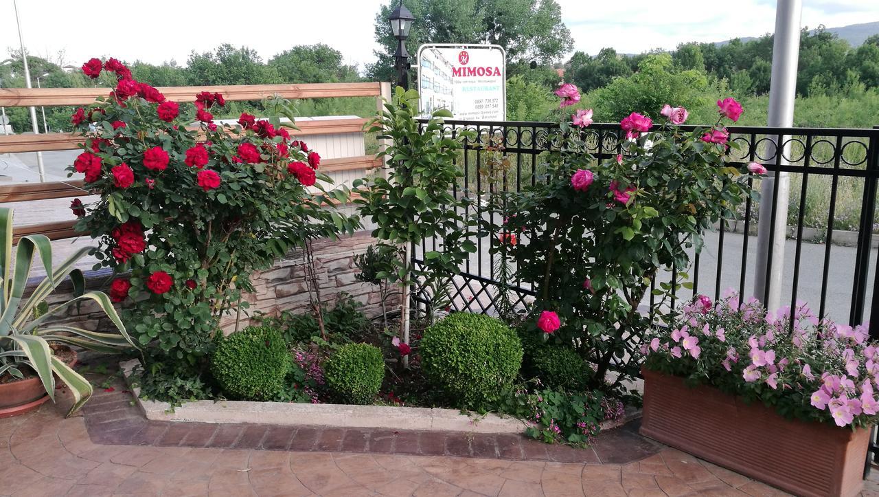 Family Hotel Mimosa Tsarevo Εξωτερικό φωτογραφία